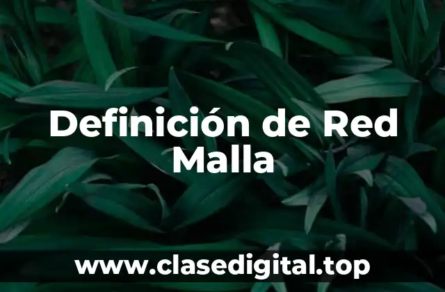 Definición de Red Malla