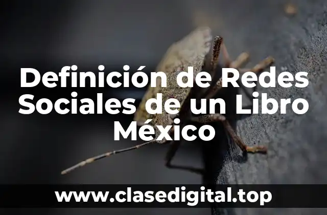 Definición de Redes Sociales de un Libro México