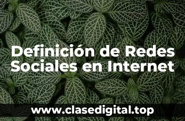 Definición de Redes Sociales en Internet