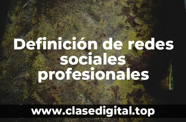 Definición técnica de redes sociales profesionales