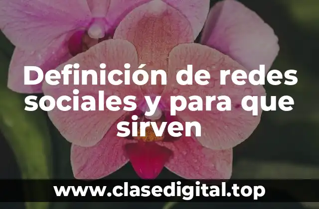 Ejemplos de redes sociales