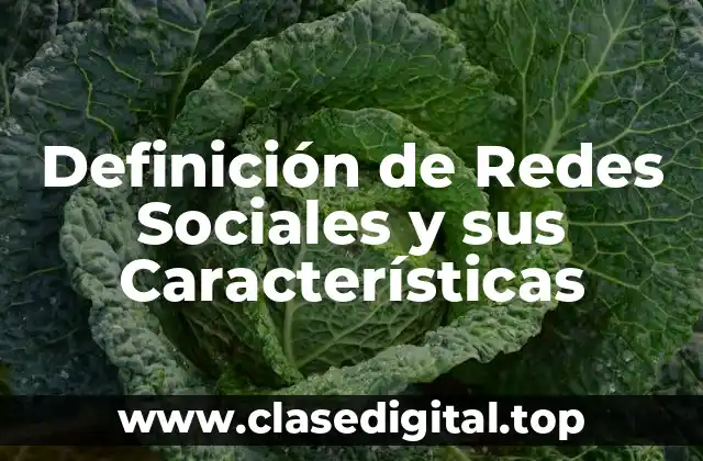 Definición de Redes Sociales y sus Características