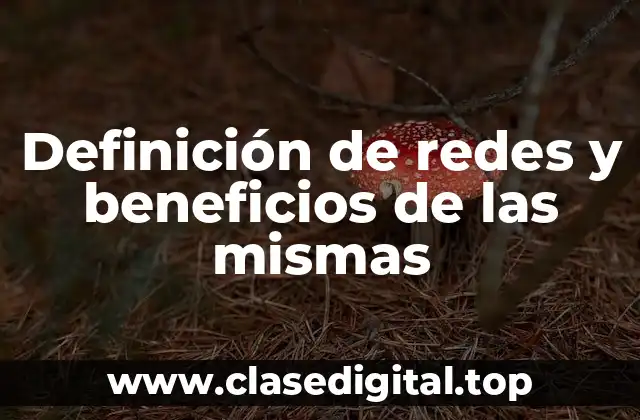 Definición de redes y beneficios de las mismas