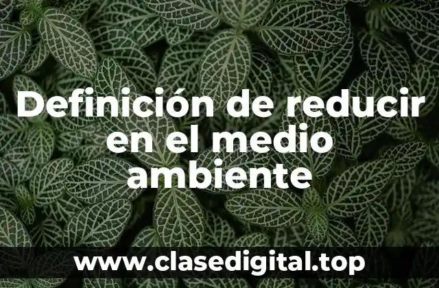 Definición de reducir en el medio ambiente