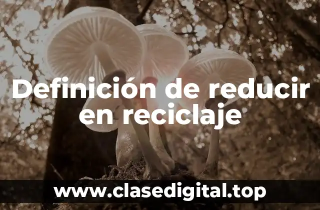 Definición de reducir en reciclaje