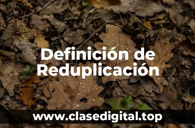 Definición técnica de Reduplicación