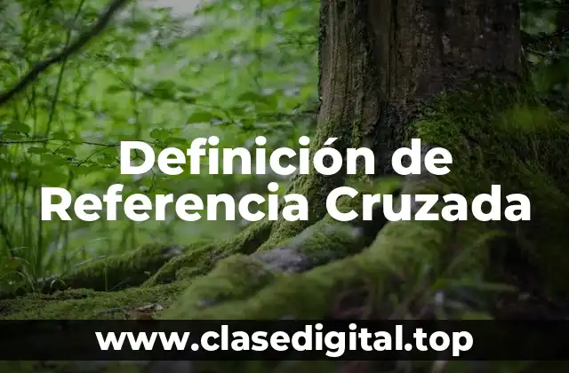 Definición técnica de Referencia Cruzada