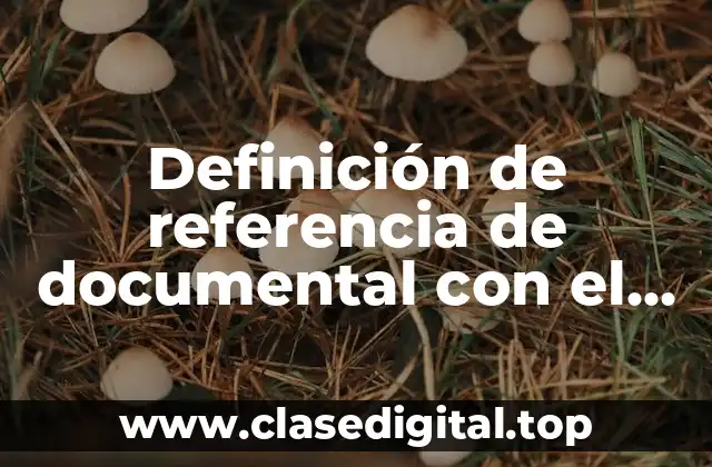 Definición de referencia de documental con el apellido del autor