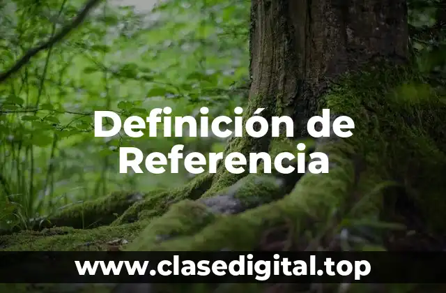 Definición tecnica de Referencia