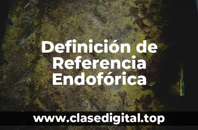 Definición de Referencia Endofórica
