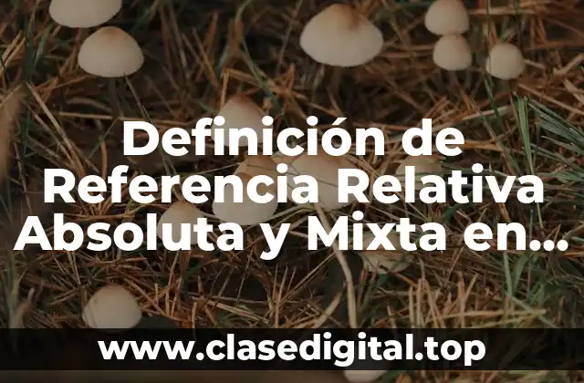 Definición de Referencia Relativa Absoluta y Mixta en Excel