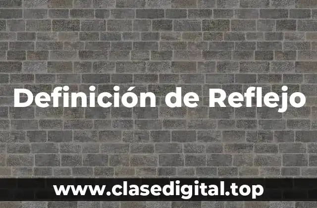 Definición de Reflejo