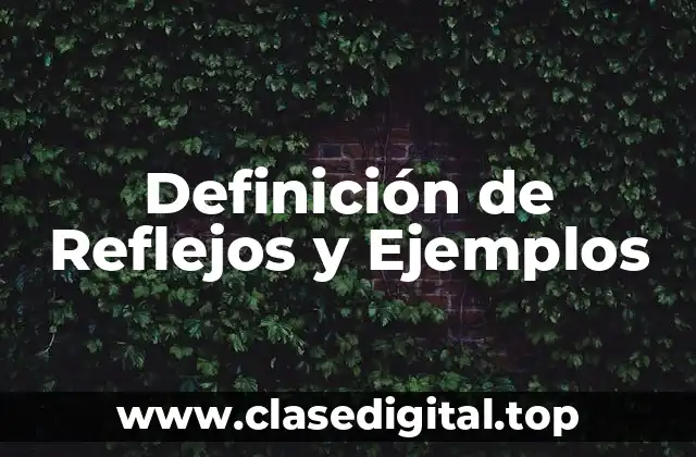 Definición de Reflejos y Ejemplos