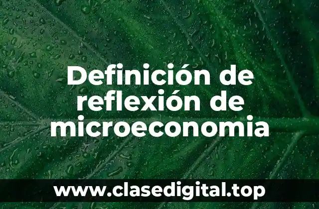 Definición de reflexión de microeconomia