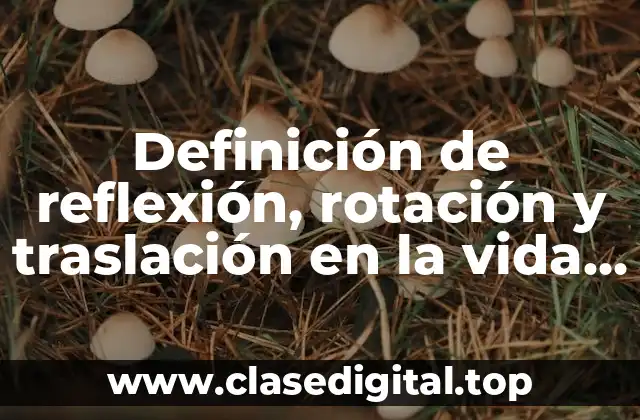 Definición de reflexión, rotación y traslación en la vida cotidiana