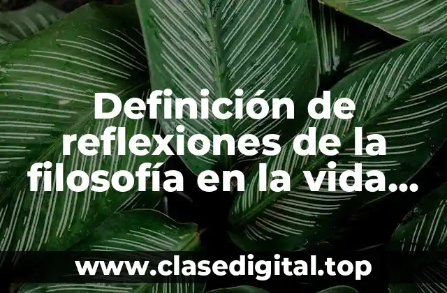 Definición de reflexiones de la filosofía en la vida humana