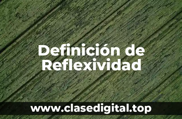 Definición técnica de Reflexividad