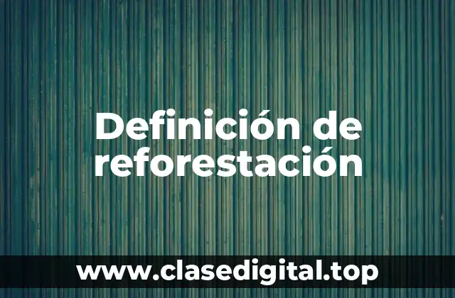 Definición de reforestación