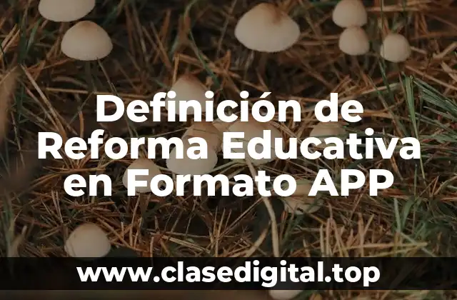 Definición de Reforma Educativa en Formato APP