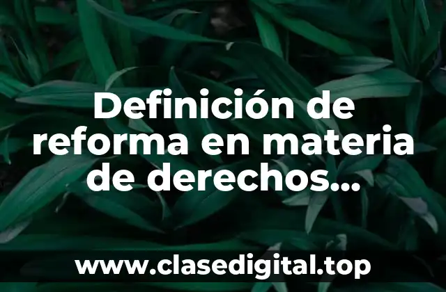 Definición técnica de reforma en materia de derechos humanos