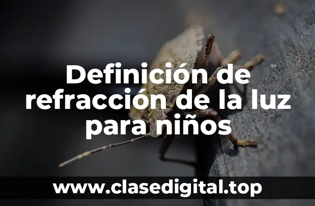 Definición de refracción de la luz para niños