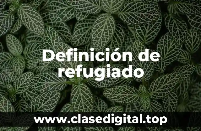 Definición técnica de refugiado