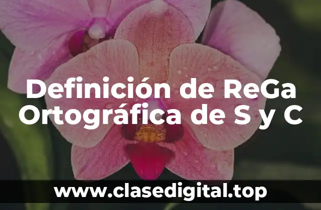 Definición de ReGa Ortográfica de S y C