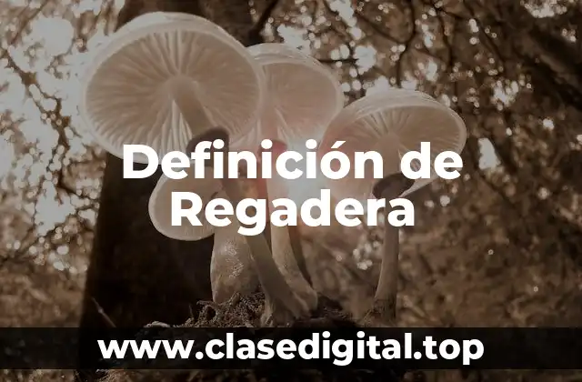 Definición técnica de Regadera