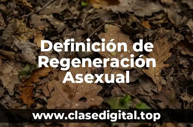 Definición de Regeneración Asexual