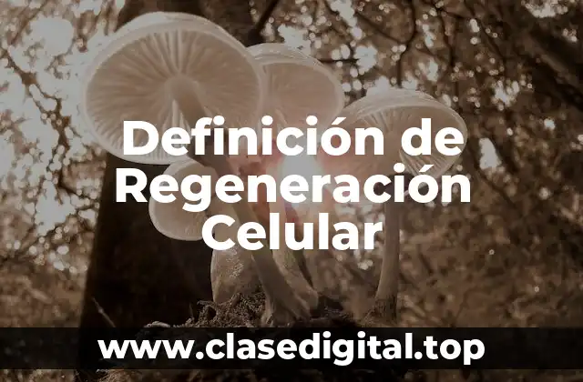 Definición de Regeneración Celular