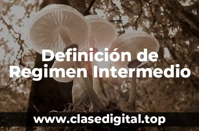Definición de Regimen Intermedio