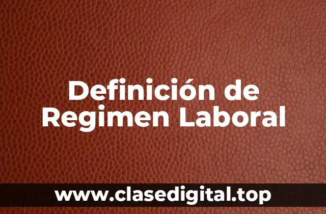 Definición Técnica de Regimen Laboral
