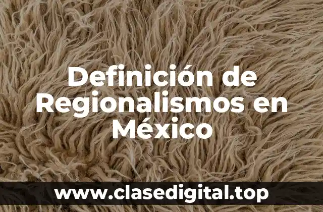 Definición de Regionalismos en México