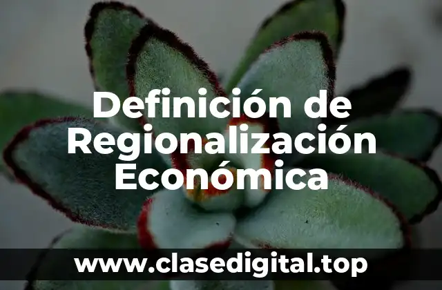 Definición de Regionalización Económica