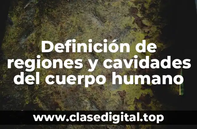 Definición de regiones y cavidades del cuerpo humano