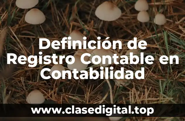 Definición de Registro Contable en Contabilidad