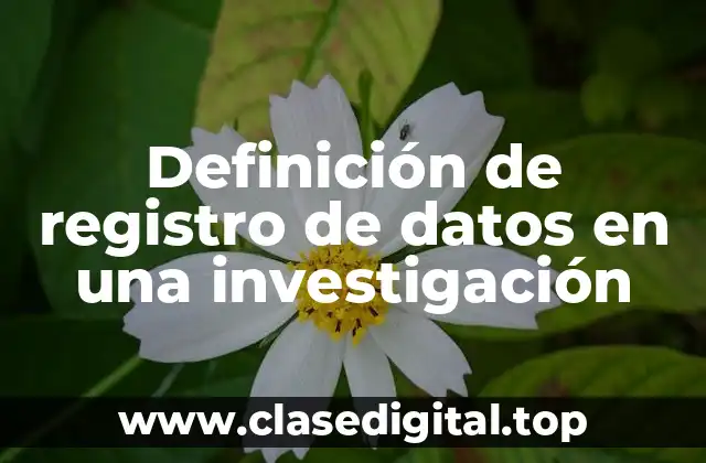 Definición de registro de datos en una investigación