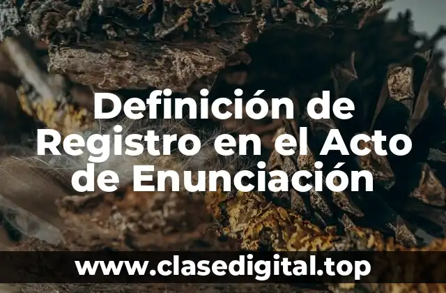 Definición de Registro en el Acto de Enunciación