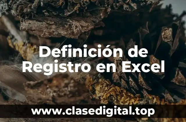 Definición de Registro en Excel