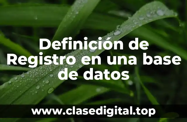 Definición de Registro en una base de datos