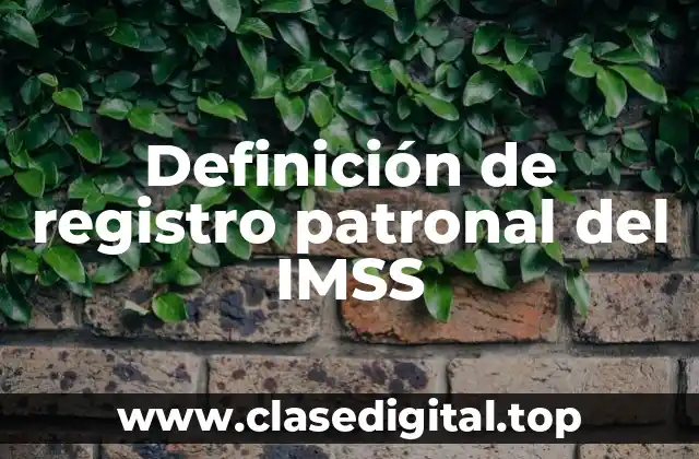 Ejemplos de registro patronal del IMSS