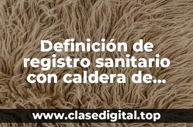 Definición de registro sanitario con caldera de planos