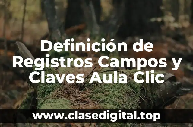 Definición de Registros Campos y Claves Aula Clic