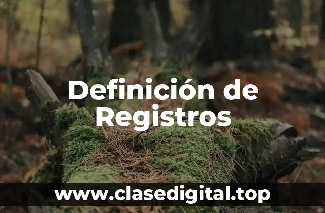 Definición de Registros