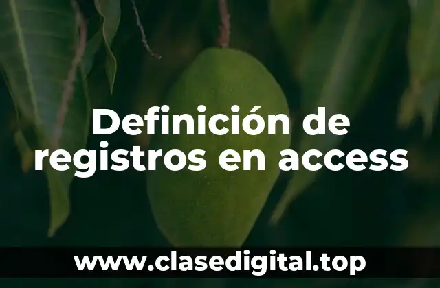 Definición de registros en access
