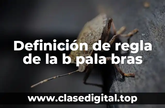 Ejemplos de la regla de la b pala bras