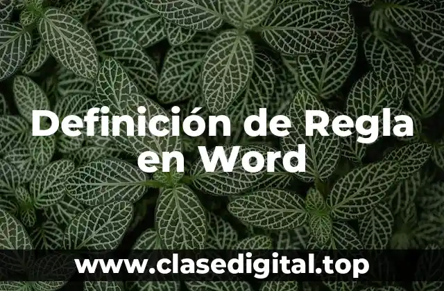 Definición de Regla en Word