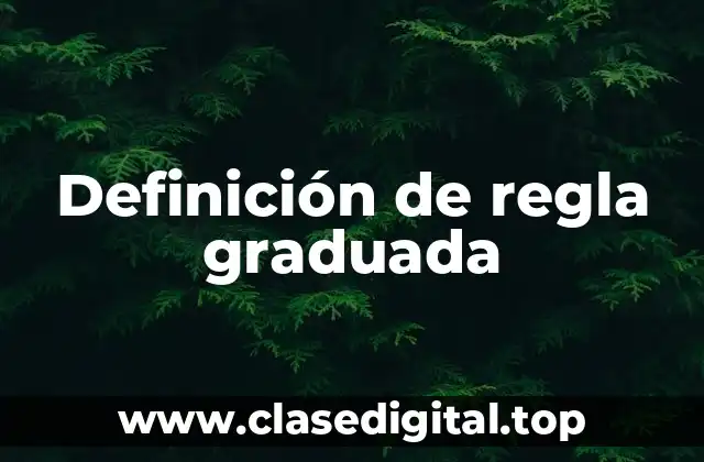 Definición técnica de regla graduada