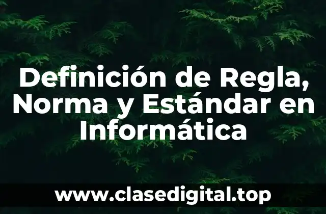 Definición de Regla, Norma y Estándar en Informática
