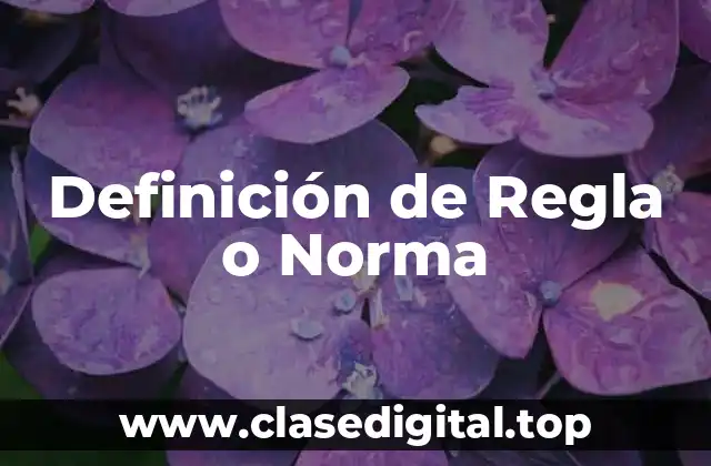 Definición de Regla o Norma